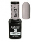 Hybrid Gel Polish Colour No. 037